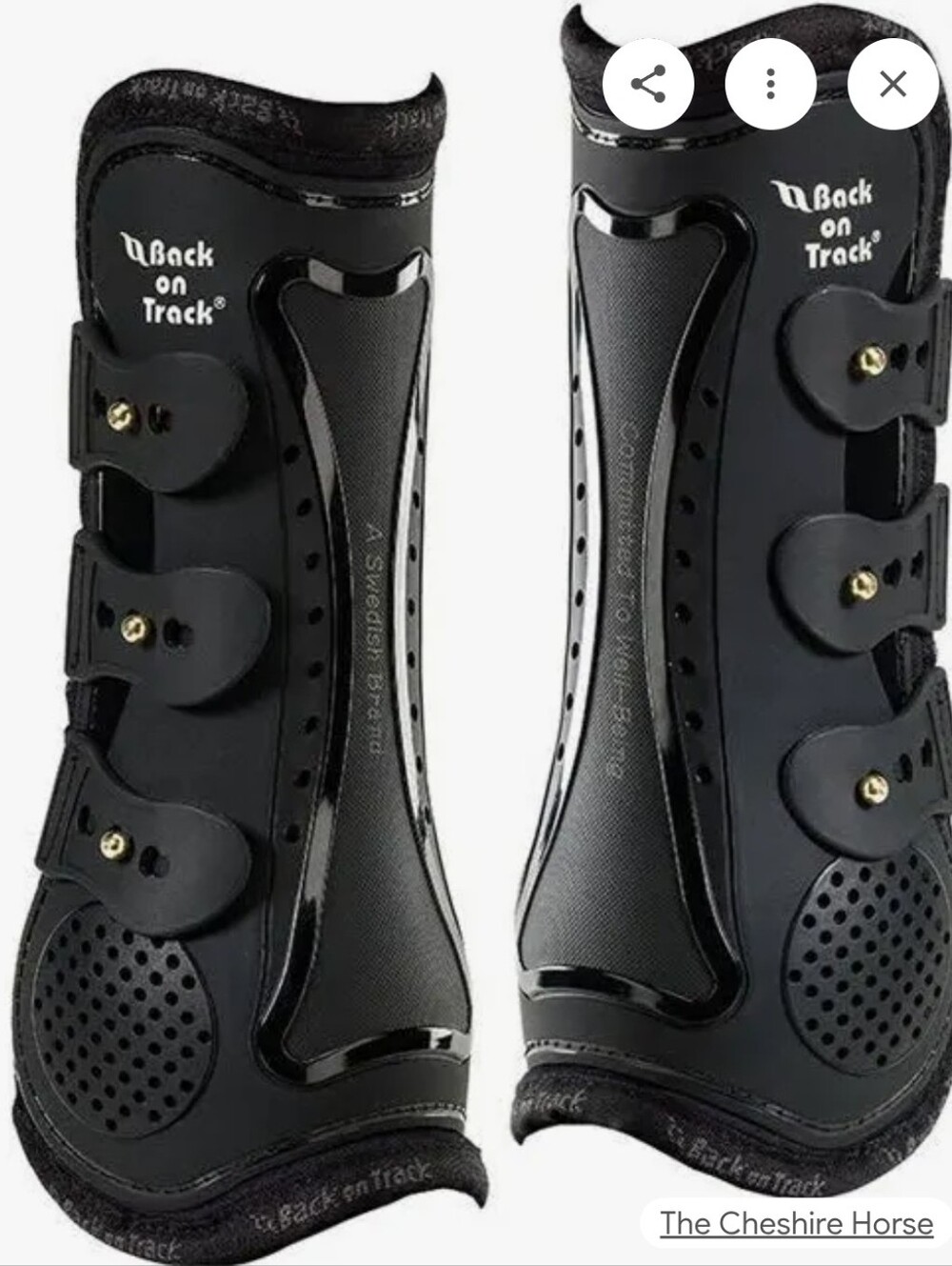 Back on Track Royal Tendon Boots(Open Front) Cob Size- Jump Boots